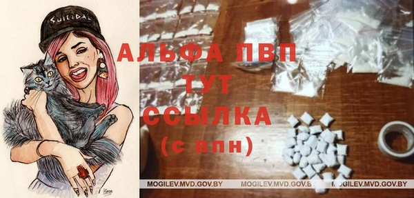 ALPHA PVP Магас