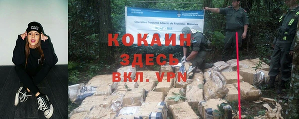 крисы Медногорск